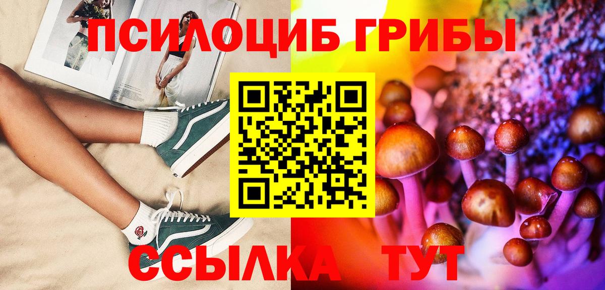 Псилоцибиновые грибы Psilocybine cubensis  дарнет шоп  Новошахтинск  Вход с VPN 